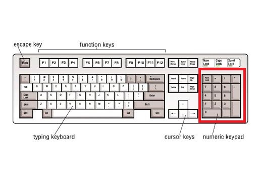Общие функции клавиш delete и backspace. Клавиатура с ке Цин. Функции клавиш delete и Backspace. Microsoft клавиатура схема кнопок. Клавиша клавиатуры лого.